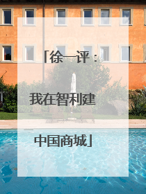 徐一评：我在智利建中国商城