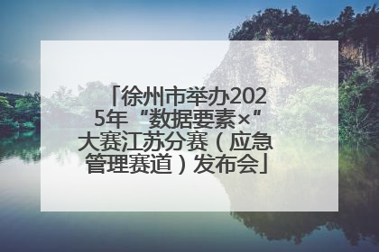 徐州市举办2025年“数据要素×”大赛江苏分赛（应急管理赛道）发布会