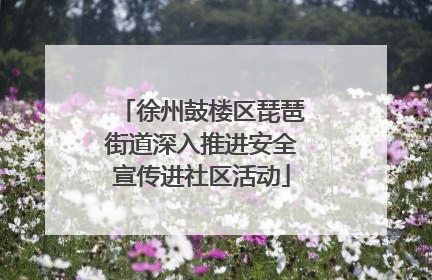 徐州鼓楼区琵琶街道深入推进安全宣传进社区活动