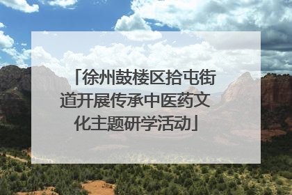 徐州鼓楼区拾屯街道开展传承中医药文化主题研学活动