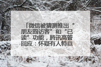 微信被猜测推出“朋友圈访客”和“已读”功能，腾讯高管回应：怀疑有人特意反复翻炒流量