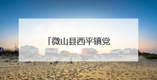 微山县西平镇党建引领打造家门口“就业圈”
