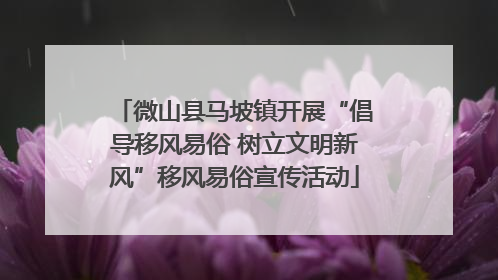 微山县马坡镇开展“倡导移风易俗 树立文明新风”移风易俗宣传活动