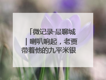 微记录·最聊城｜喇叭响起，老贾带着他的九平米银幕又来了
