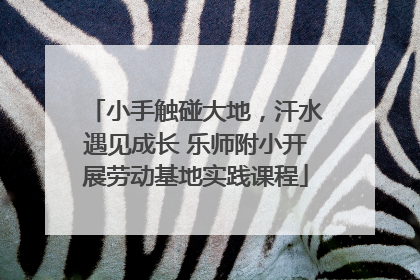 小手触碰大地，汗水遇见成长 乐师附小开展劳动基地实践课程