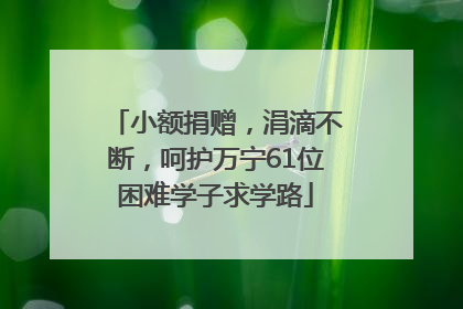小额捐赠，涓滴不断，呵护万宁61位困难学子求学路