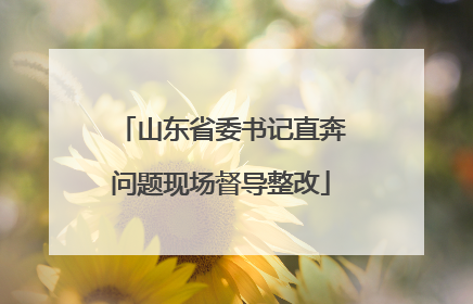 山东省委书记直奔问题现场督导整改