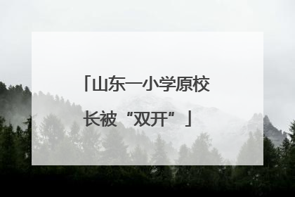 山东一小学原校长被“双开”