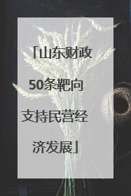山东财政50条靶向支持民营经济发展