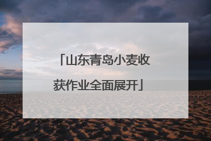 山东青岛小麦收获作业全面展开