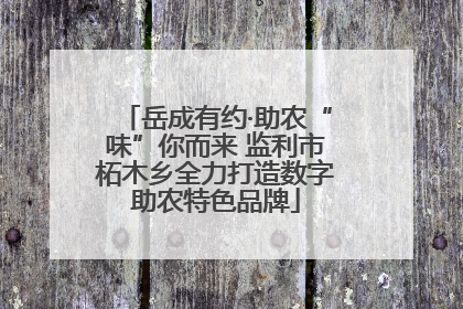岳成有约·助农“味”你而来 监利市柘木乡全力打造数字助农特色品牌