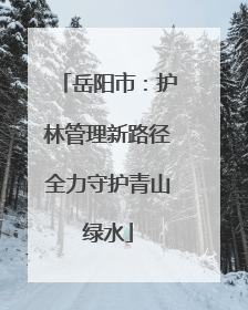 岳阳市：护林管理新路径全力守护青山绿水