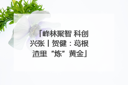 峰林聚智 科创兴张丨贺健：葛根渣里“炼”黄金