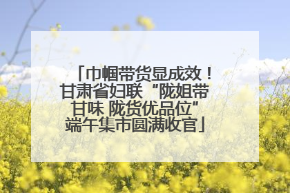 巾帼带货显成效！甘肃省妇联“陇姐带甘味 陇货优品位”端午集市圆满收官