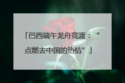 巴西端午龙舟竞渡：“点燃去中国的热情”