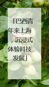 巴西青年来上海，沉浸式体验科技发展