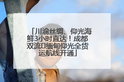 川渝丝绸、仰光海鲜3小时直达！成都双流⇌缅甸仰光全货运航线开通