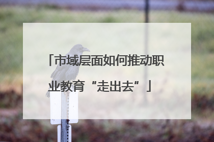 市域层面如何推动职业教育“走出去”