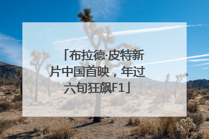 布拉德·皮特新片中国首映，年过六旬狂飙F1