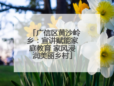 广信区黄沙岭乡：宣讲赋能家庭教育 家风浸润美丽乡村