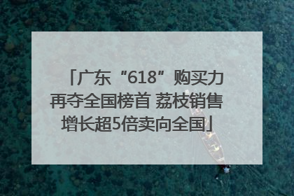 广东“618”购买力再夺全国榜首 荔枝销售增长超5倍卖向全国