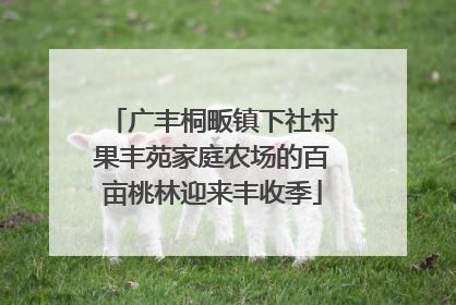 广丰桐畈镇下社村果丰苑家庭农场的百亩桃林迎来丰收季