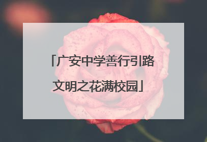 广安中学善行引路 文明之花满校园