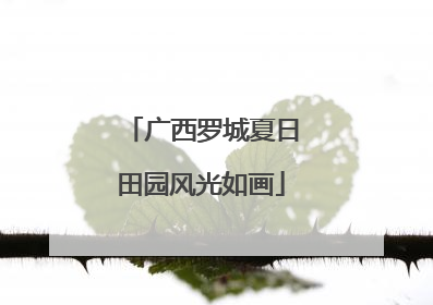 广西罗城夏日田园风光如画
