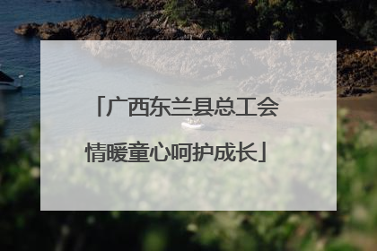 广西东兰县总工会情暖童心呵护成长