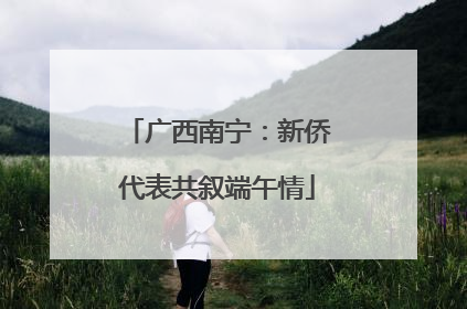 广西南宁：新侨代表共叙端午情