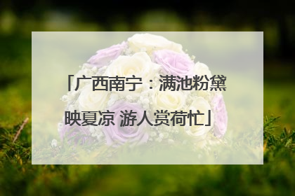 广西南宁：满池粉黛映夏凉 游人赏荷忙