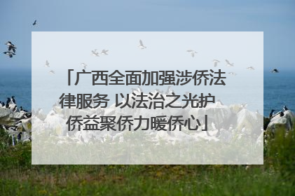 广西全面加强涉侨法律服务 以法治之光护侨益聚侨力暖侨心