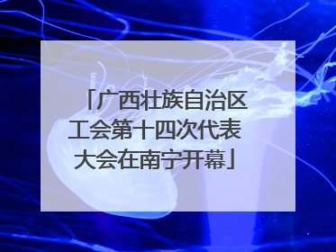 广西壮族自治区工会第十四次代表大会在南宁开幕