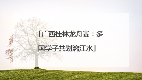 广西桂林龙舟赛：多国学子共划漓江水