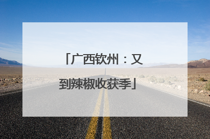 广西钦州：又到辣椒收获季