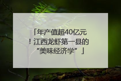 年产值超40亿元！江西龙虾第一县的“美味经济学”