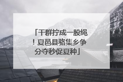 干群拧成一股绳！夏邑县骆集乡争分夺秒促夏种