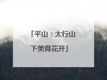 平山：太行山下美育花开