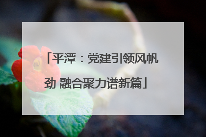 平潭：党建引领风帆劲 融合聚力谱新篇