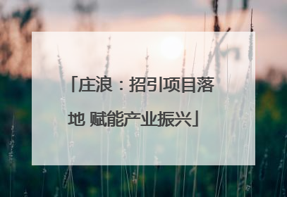 庄浪：招引项目落地 赋能产业振兴
