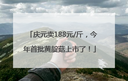 庆元卖188元/斤，今年首批黄靛菇上市了！
