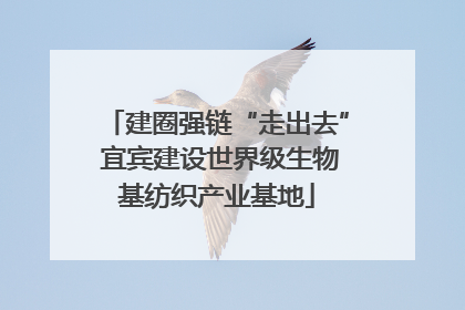 建圈强链“走出去” 宜宾建设世界级生物基纺织产业基地
