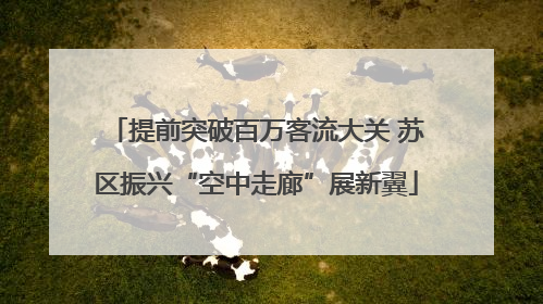 提前突破百万客流大关 苏区振兴“空中走廊”展新翼