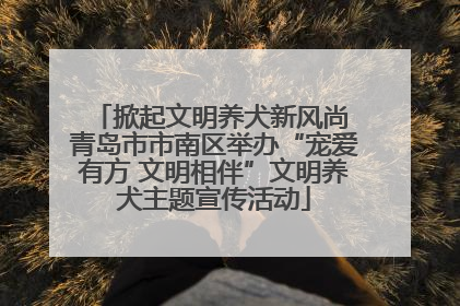 掀起文明养犬新风尚 青岛市市南区举办“宠爱有方 文明相伴”文明养犬主题宣传活动