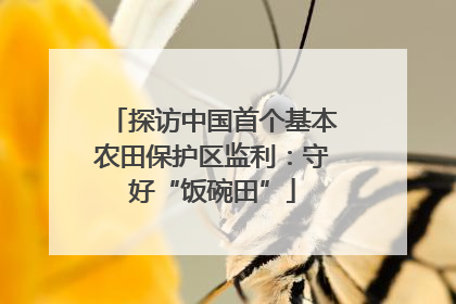 探访中国首个基本农田保护区监利：守好“饭碗田”