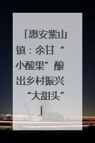 惠安紫山镇：余甘“小酸果”酿出乡村振兴“大甜头”
