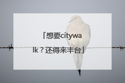 想要citywalk？还得来丰台