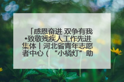 感恩奋进 双争有我•致敬残疾人工作先进集体丨河北省青年志愿者中心（“小橘灯”助残接力计划实施团队）：用温暖陪伴，守护特殊孩子成长
