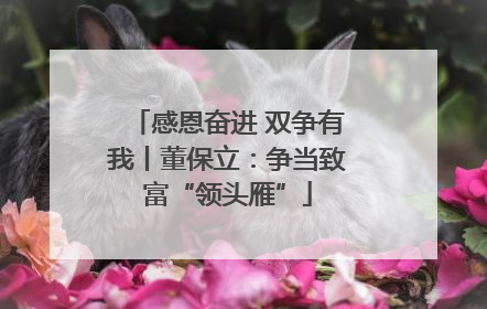 感恩奋进 双争有我丨董保立：争当致富“领头雁”