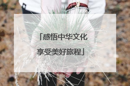 感悟中华文化 享受美好旅程